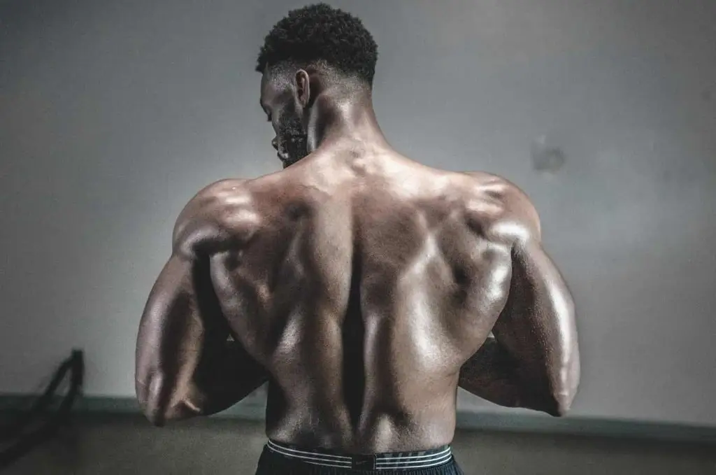 Creatine muscle gain