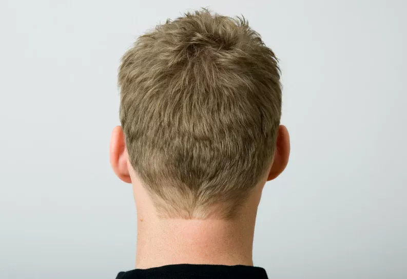 The Crown Of Your Hair