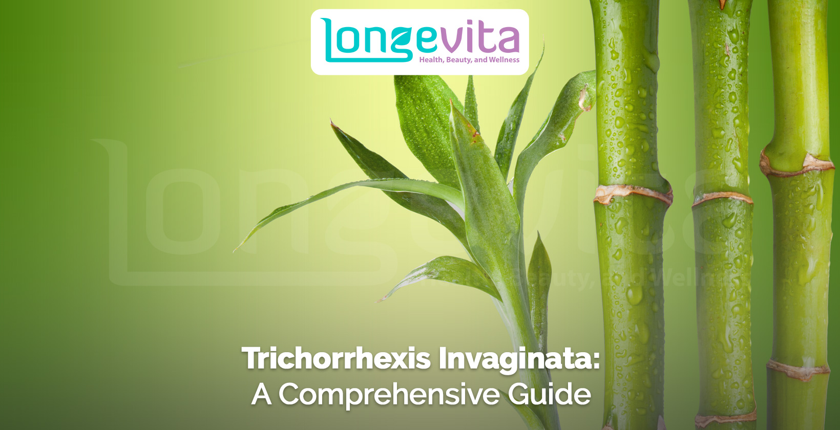 close-up of bamboo-like plant symbolising hair shaft abnormalities