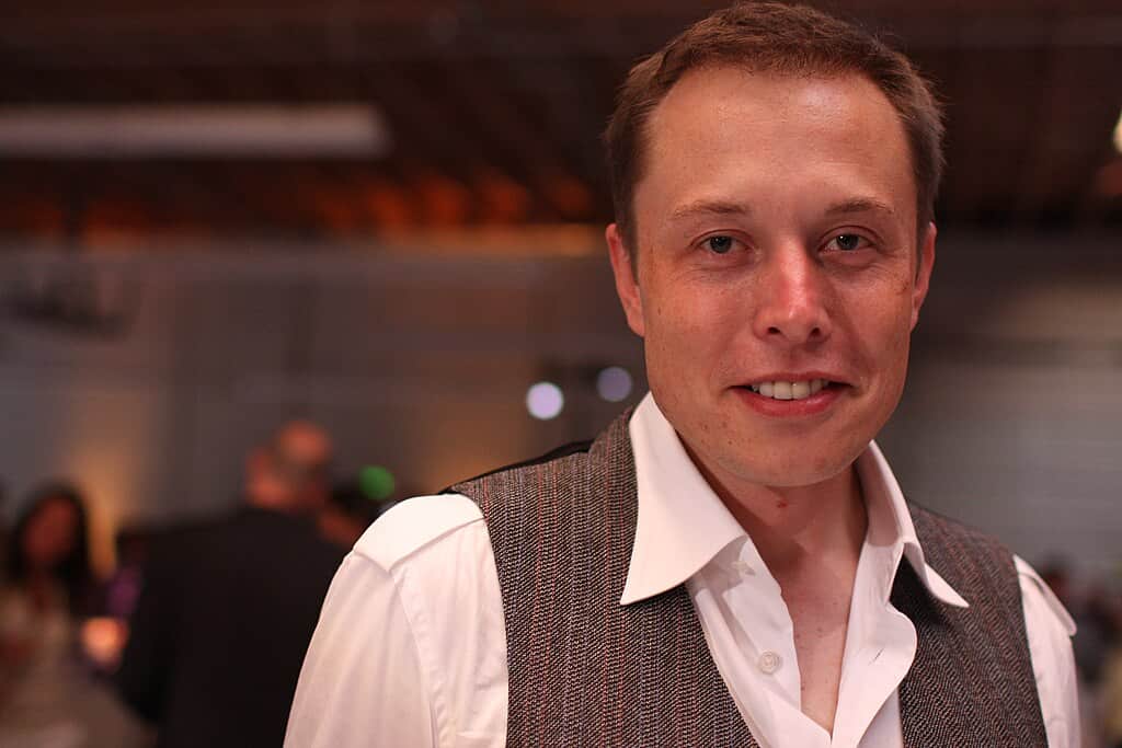 Elon Musk's hair in 2008