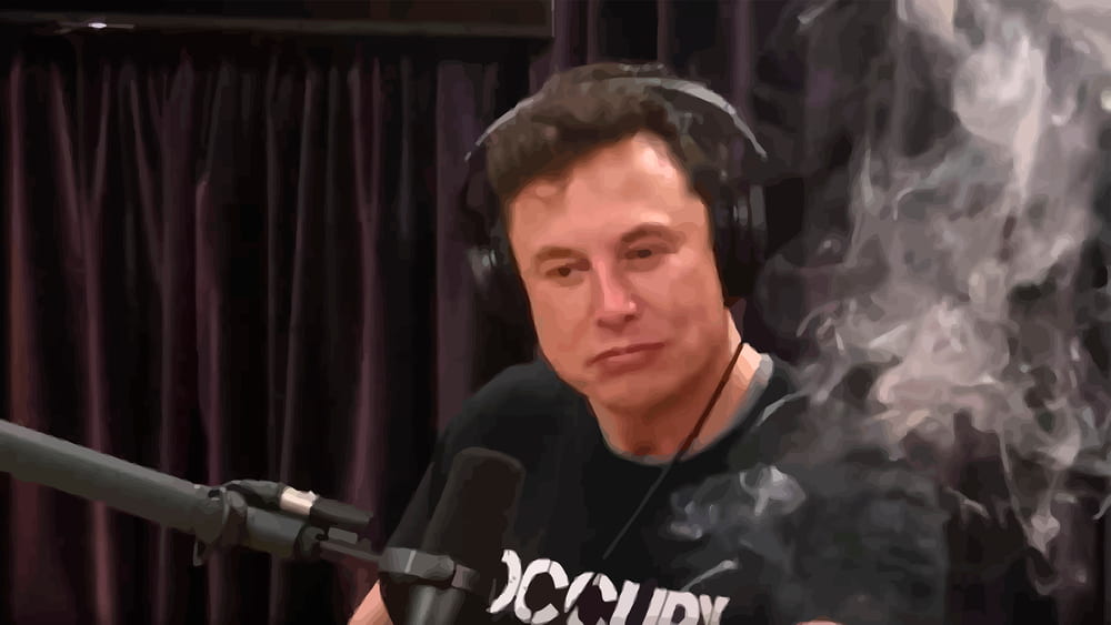 Elon Musk's hair in 2022