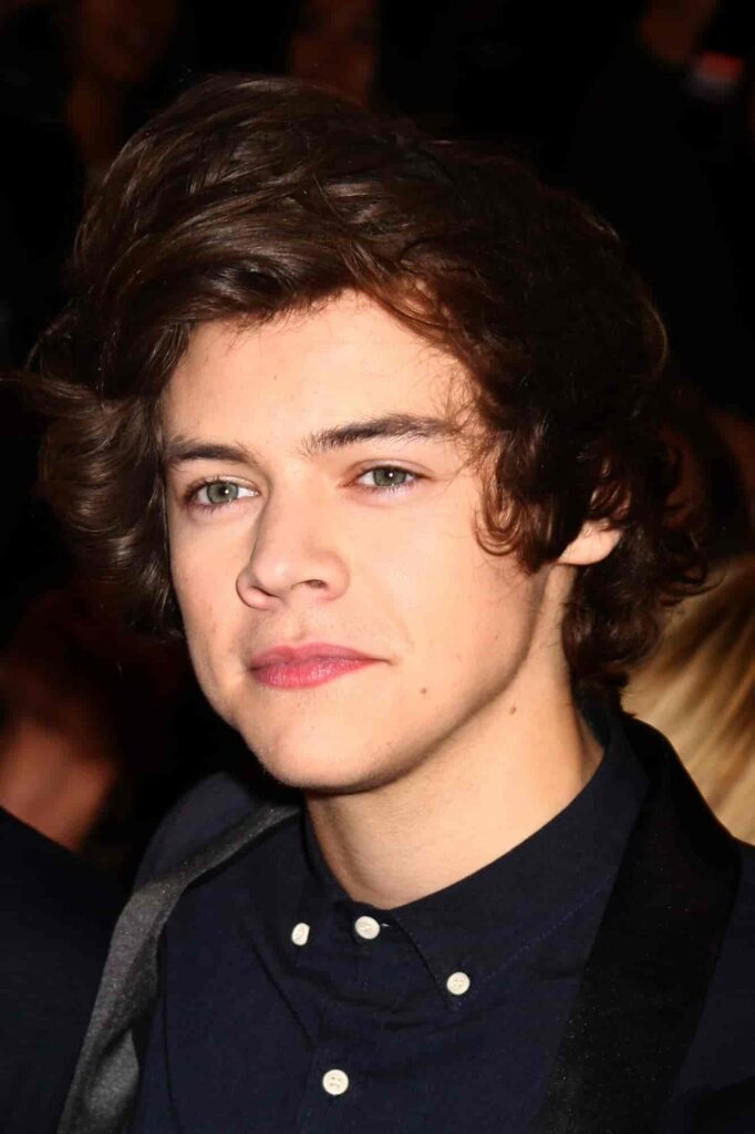 Harry Style' hair in 2012