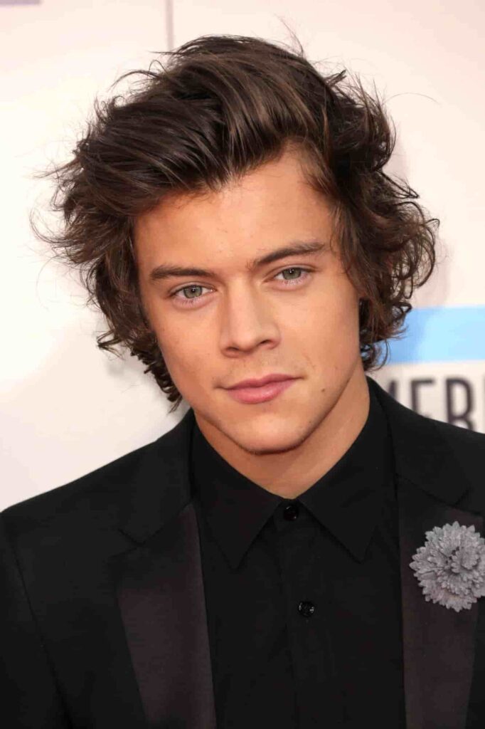 Harry Styles' hair in 2013
