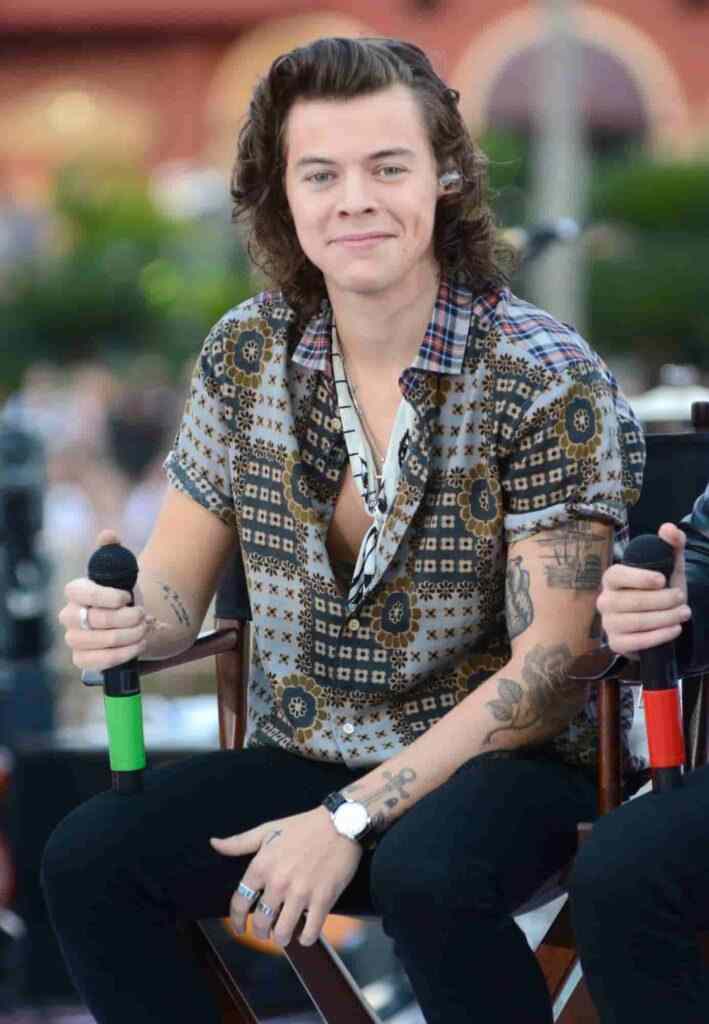 Harry Styles hair in 2014