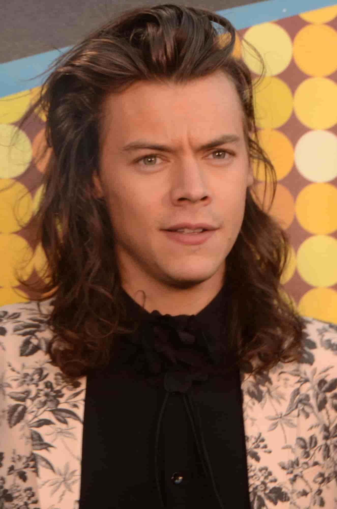 Did Harry Styles Have A Hair Transplant? | Longevita