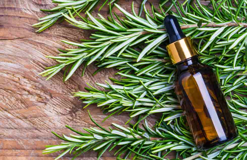 Screenshot 2024 02 13 at 5.13.28 PM