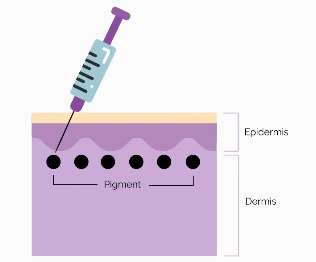 SMP Diagram