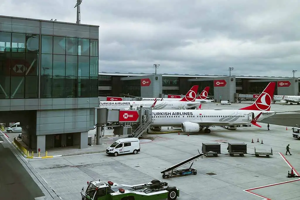 Turkish Airlines planes parked at the gates of Istanbul Airport terminal