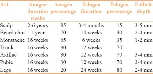 Head Hair And Body Hair Difference
