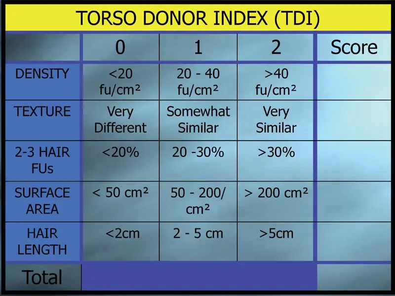 torso donor index chart showing density, texture, hair characteristics, surface area, and length scoring