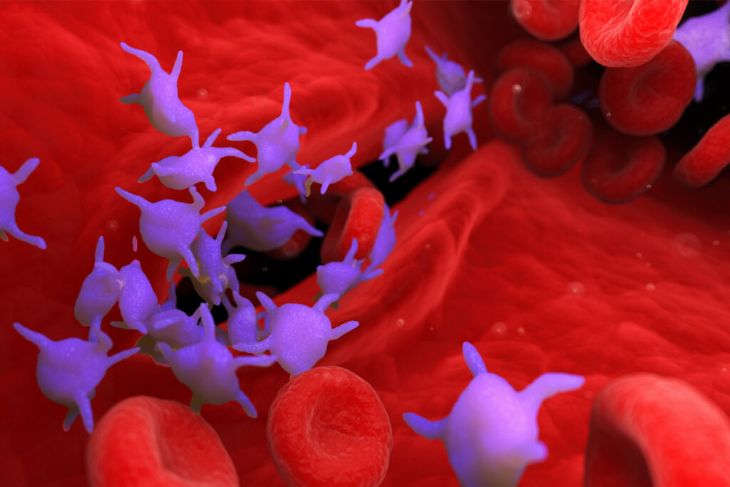 3D rendering of blood platelets and red blood cells flowing in a blood vessel